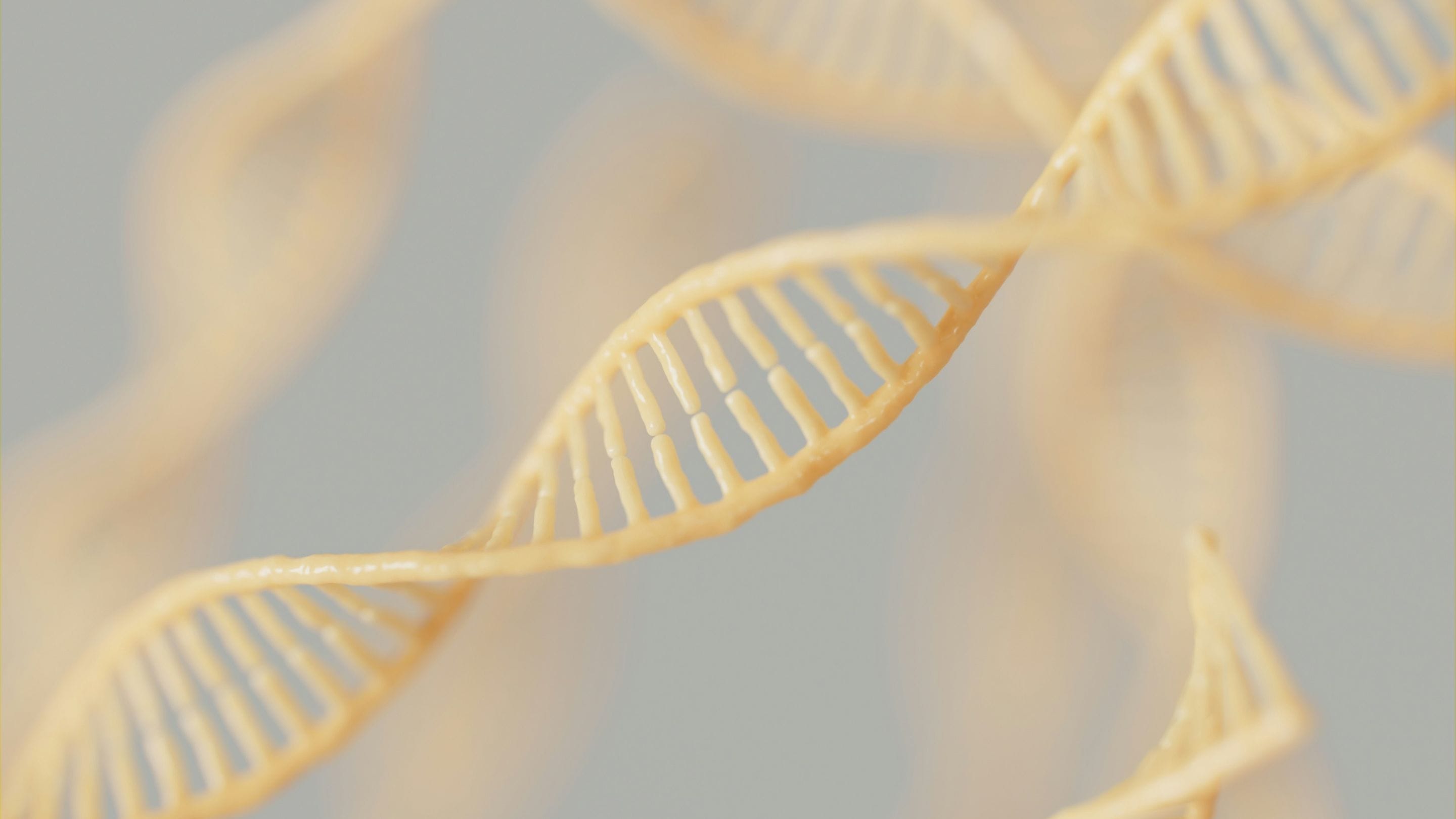 DNA