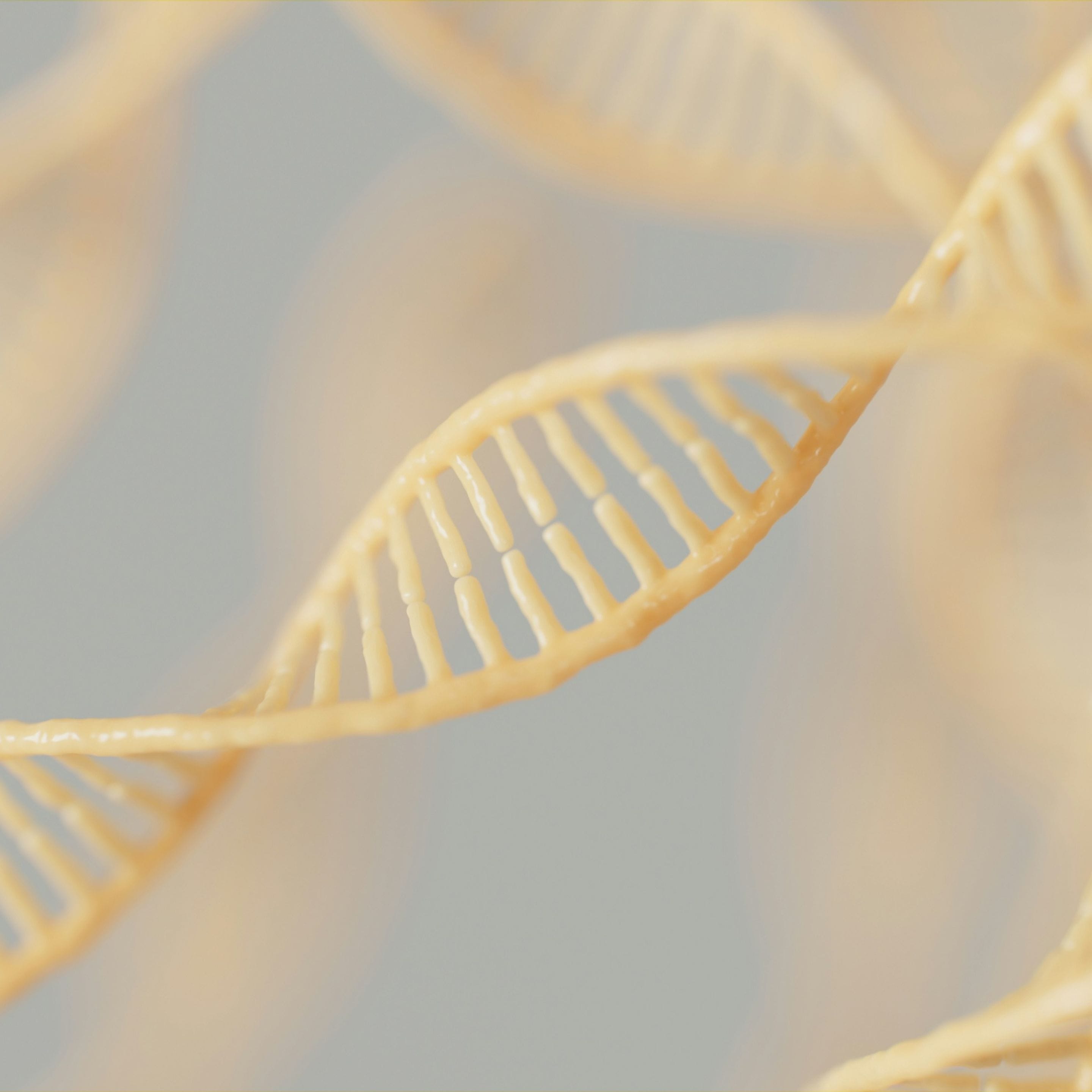 DNA